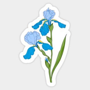 blue iris. branch with blue iris flower Sticker